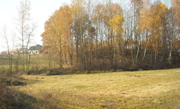 działka na sprzedaż - Aleksandrów Łódzki (gw), Ruda-Bugaj