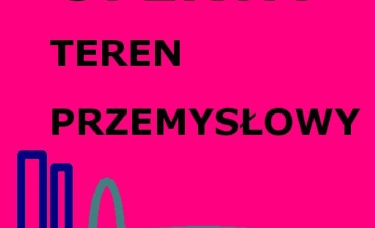 działka na sprzedaż - Aleksandrów Łódzki