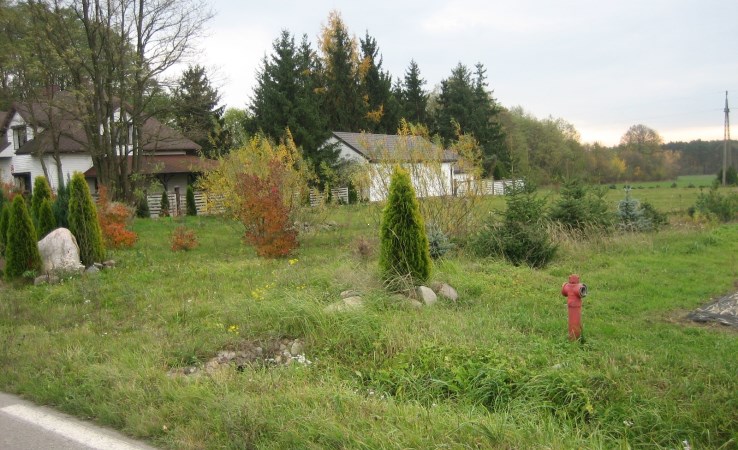 działka na sprzedaż - Dalików, Gajówka