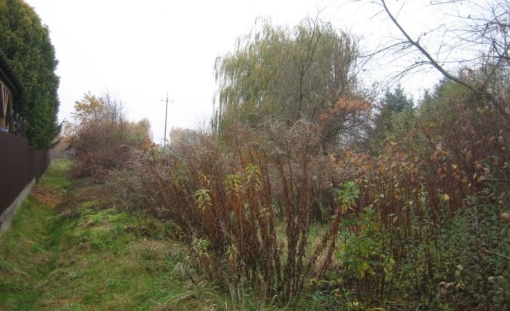 działka na sprzedaż - Aleksandrów Łódzki (gw), Ruda-Bugaj, Jana Kazimierza