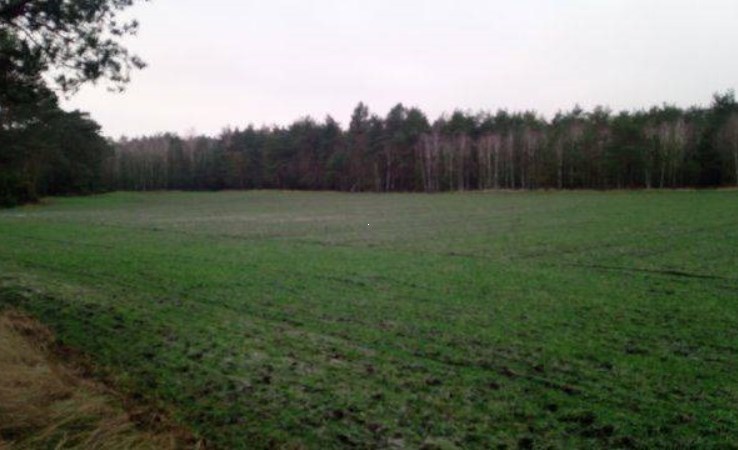 działka na sprzedaż - Przykona, Paulinów