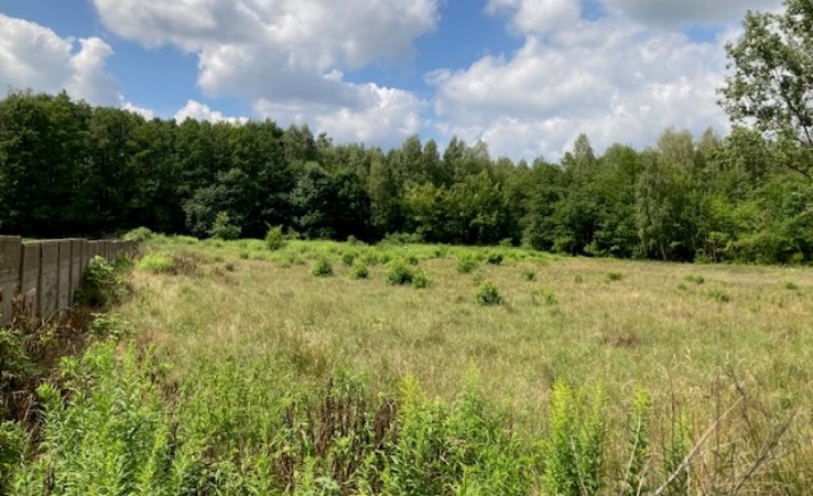 działka na sprzedaż - Aleksandrów Łódzki, Franin