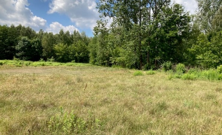 działka na sprzedaż - Aleksandrów Łódzki, Franin