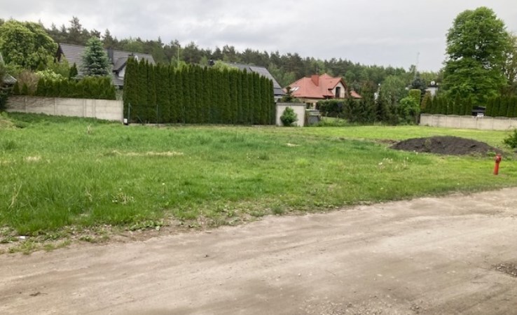 działka na sprzedaż - Aleksandrów Łódzki (gw), Sanie